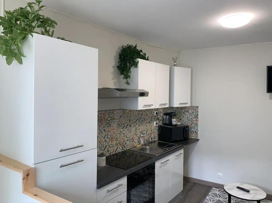 Le Cocon T2 Duplex 24 M2 Διαμέρισμα Νιόρ Εξωτερικό φωτογραφία